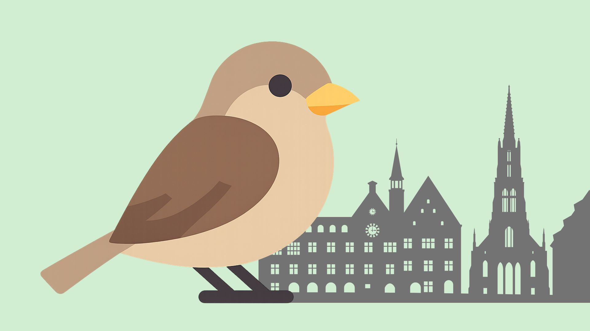 Highlight: Ulmer Spatz